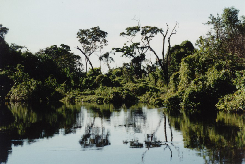 Rurrenabaque_3