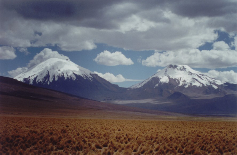 Sajama_19