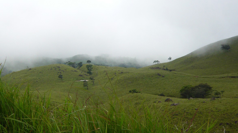 Monteverde_03