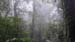 Monteverde_14